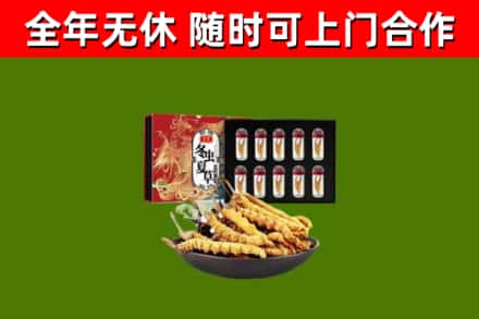 句容市回收冬虫夏草价格