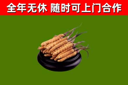 句容市烟酒回收冬虫夏草.jpg
