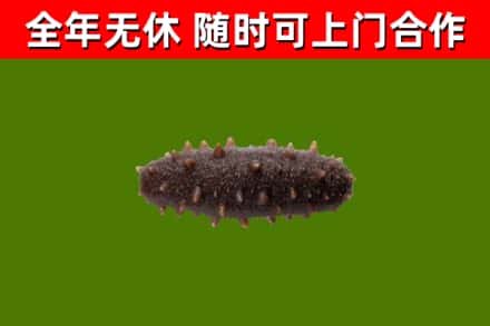 句容市烟酒回收干海参.jpg